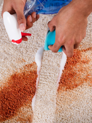 Design sans titre (8)