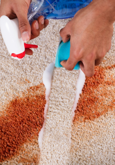 Design sans titre (8)